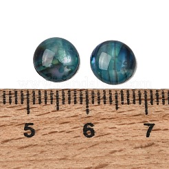 Abalone Shell/Paua Shell Cabochons&nbsp;X-SSHEL-K003-8MM
