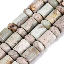 Natural Variscite Beads Strands&nbsp;G-Q616-09J