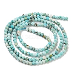 Natural HuBei Turquoise Beads Strands&nbsp;G-G792-38-01