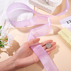 Polyester Organza Ribbon&nbsp;TAC0006-01D