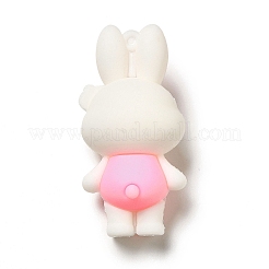 PVC Plastic Big Pendants&nbsp;X-KY-C011-01A