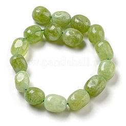 Natural Malaysia Jade Beads Strands&nbsp;G-P528-N01-01