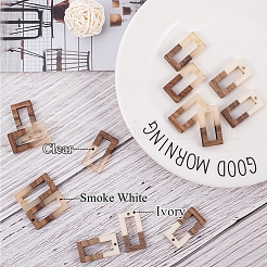 Resin & Wood Pendants&nbsp;RESI-OL0001-09B