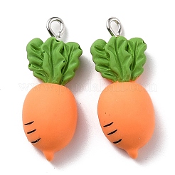 Resin Pendants&nbsp;X-RESI-C002-31