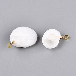 Brass & Natural Spiral Shell Pendants&nbsp;SHEL-Q029-12KCG