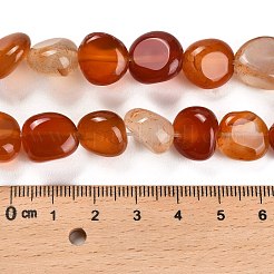 Natural Carnelian Beads Strands&nbsp;G-L595-B01-01