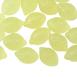 Czech Glass Beads&nbsp;GLAA-CJ0001-07