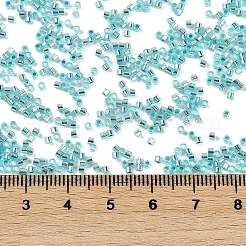 Baking Paint Silver Lined Glass Seed Beads&nbsp;SEED-H003-09H