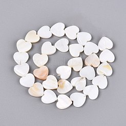 Natural Freshwater Shell Beads Strands&nbsp;SHEL-S276-87