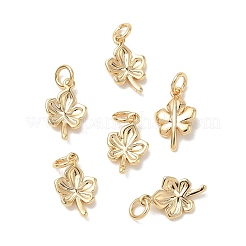 SHEGRACE Brass Charms&nbsp;XGRQ3D271-460G