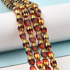 Faceted Electroplate Glass Beads Strands&nbsp;EGLA-P051-04A-A