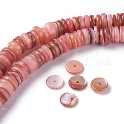 Natural Freshwater Shell Beads Strands&nbsp;X-BSHE-I016-04E