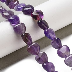 Natural Amethyst Beads Strands&nbsp;G-R190-10mm-42