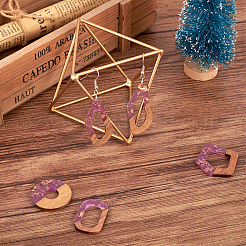 30Pcs 15 Style Transparent Resin & Walnut Wood Pendants&nbsp;RESI-FW0001-03