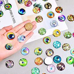70Pcs Flatback Glass Cabochons for DIY Projects&nbsp;GGLA-SZ0001-33C
