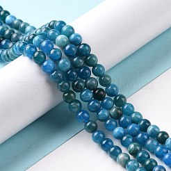 Natural Apatite Beads Strands&nbsp;G-J373-21-5.5mm-01