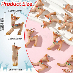10Pcs Resin Pendants&nbsp;RESI-YW0005-05