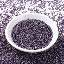MIYUKI Round Rocailles Beads&nbsp;SEED-X0054-RR1013