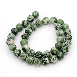 Gemstone Beads Strands&nbsp;GSR10mmC006