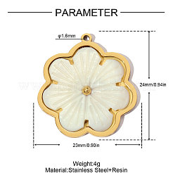 304 Stainless Steel with Resin Pendants&nbsp;RE-OY001-03G