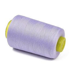 Polyester Machine Embroidery Threads&nbsp;FB-CBA3CB0-01C