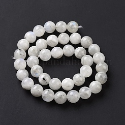 Natural Rainbow Moonstone Beads Strands&nbsp;G-I249-B04-03