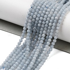 Natural Angelite Beads Strands&nbsp;G-C150-C01-01