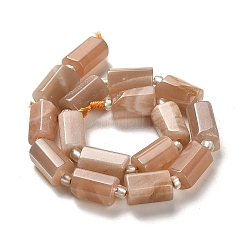 Natural Sunstone Beads Strands&nbsp;G-N327-06-12