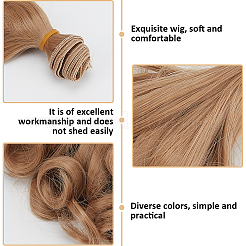 6Pcs 6 Colors High Temperature Fiber Long Pear Perm Hairstyle Doll Wig Hair&nbsp;DOLL-GF0001-15