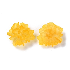 Transparent Resin Cabochons&nbsp;LS-RESI-G027-01C