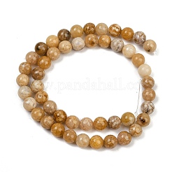 Natural Agate Beads Strands&nbsp;G-U026-A07-8mm
