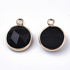 Natural & Synthetic Mixed Gemstone/Glass Charms&nbsp;G-N326-49