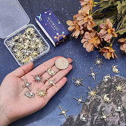 60Pcs 6 Styles Alloy & Resin Pendants&nbsp;FIND-SC0023-72