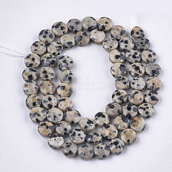 Natural Dalmatian Jasper Beads Strands&nbsp;G-S354-17