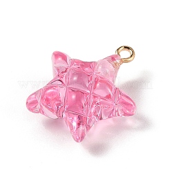 Transparent Resin Pendants&nbsp;LS-RESI-Z016-02D-LG