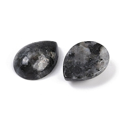 Natural Larvikite Cabochons&nbsp;G-H094-01A-15