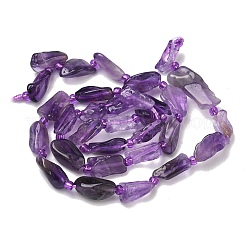 Natural Amethyst Beads Strands&nbsp;G-Z130-B01-01