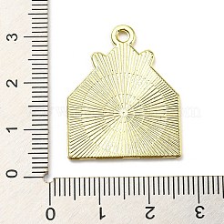 Zinc Alloy Pendants&nbsp;ENAM-I058-A02