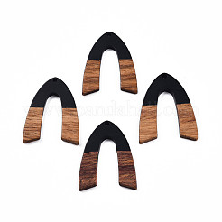 Opaque Resin & Walnut Wood Pendants&nbsp;RESI-N025-029-B