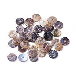 Flat Round Natural Akoya Shell Beads&nbsp;SHEL-N034-11