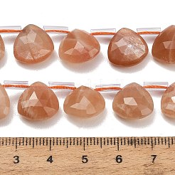 Natural Sunstone Beads Strands&nbsp;G-C292-A07-01