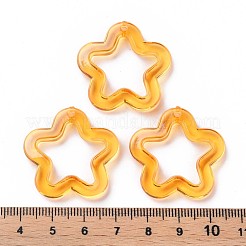 Transparent Acrylic Beads&nbsp;MACR-S373-24-B05