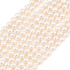 Natural Cultured Freshwater Pearl Beads Strands&nbsp;PEAR-D003-01A