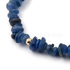 Chip Natural Kyanites Stretch Beaded  Bracelets&nbsp;BJEW-JB05431-02