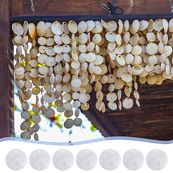 150Pcs Natural Shell Slice Connector Charms&nbsp;SSHEL-DC0001-03
