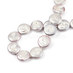 Plating Natural Freshwater Shell Beads Strands&nbsp;SHEL-N026-225C