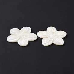 Natural Freshwater Shell Pendants&nbsp;SSHEL-C011-04