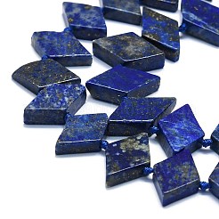 Natural Lapis Lazuli Beads Strands&nbsp;G-K245-E05-A01