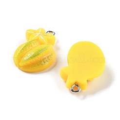 Opaque Resin Pendants&nbsp;LS-RESI-S013-02I