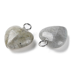 Natural Labradorite Pendants&nbsp;G-E603-01P-08